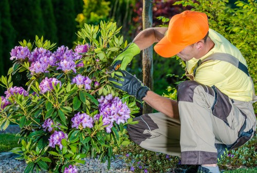 Communicated and coordinated tree surgery operations in Richmond