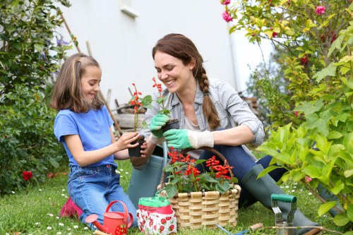 Tidy tree pruning service for Richmond homes and businesses