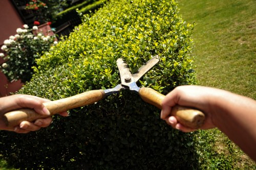 Urgent tree removal after storm damage in the Richmond area