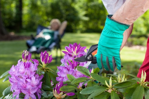 Tree surgery team providing a no-obligation quote for local tree work