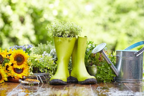 Contact options for accessibility requests on a tree surgery website