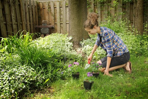 Safe tree removal near buildings and fences in Richmond