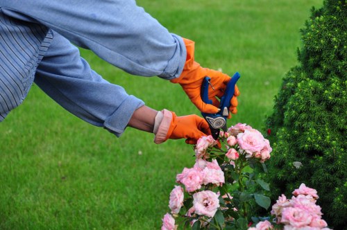 Safe tree removal service performed by Richmond tree surgeons