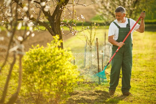 Screen reader friendly tree surgeon website content